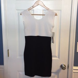 NWT American Apparel Dress